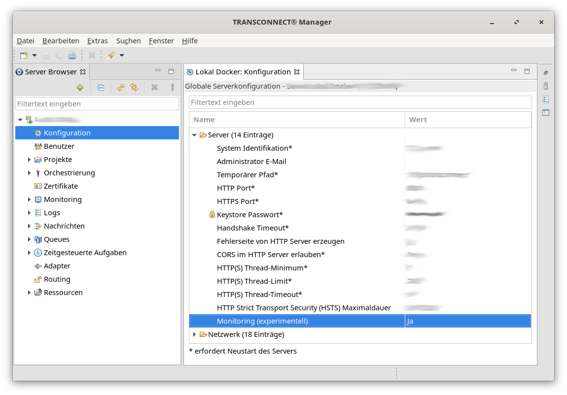 Screenshot des Transconnect mit der geöffneten Server-Konfigurationsseite und der aktivierten Einstellung 'Monitoring (experimentell)'